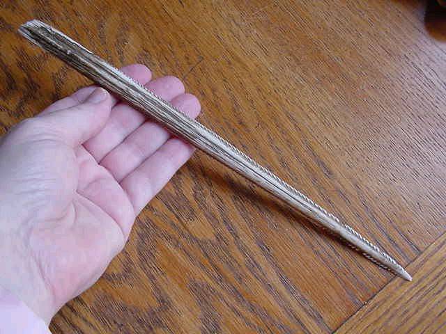 stingray%20barb-australia