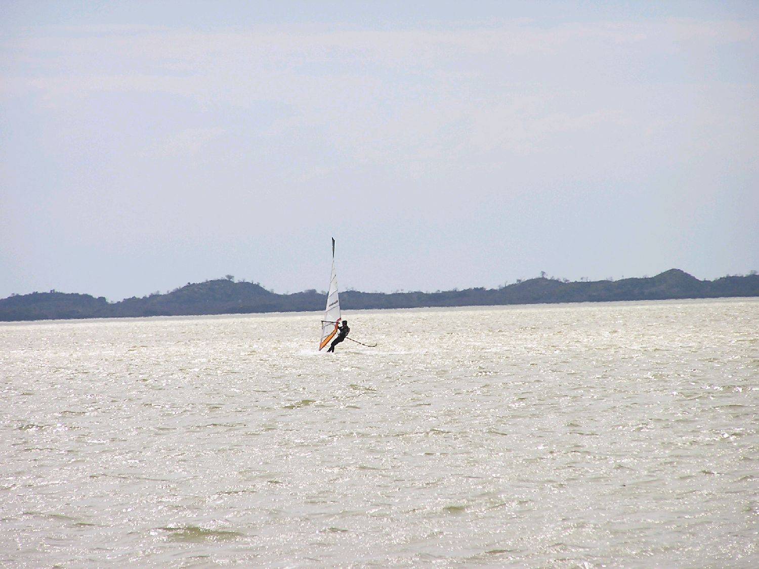 Sailor with a tail & Susie