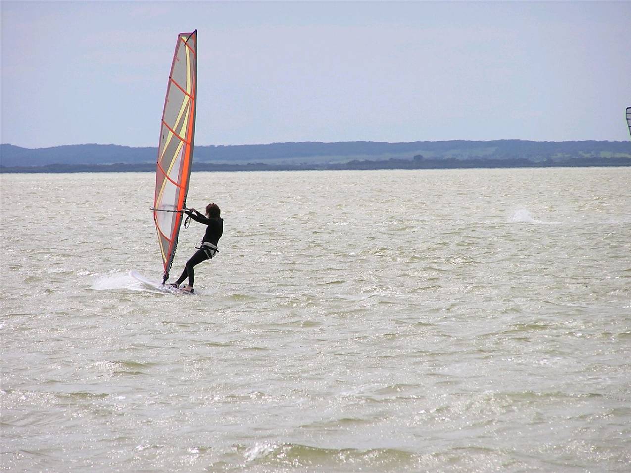 Sailor with a tail & Susie