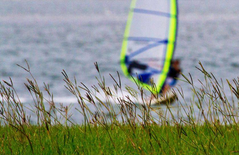 Shearwater 21-11-2010