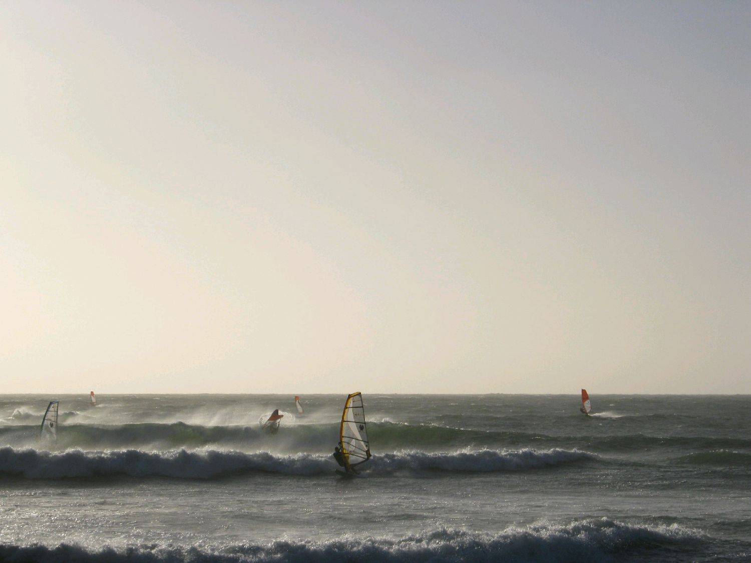 spot x house jan 2011 055