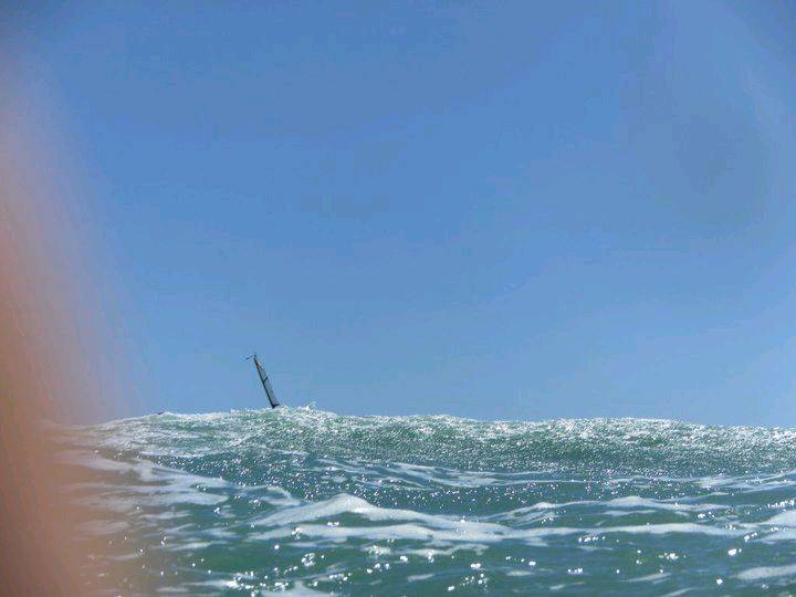 164108 1795036837037 1273187927 31987711 2177404 n