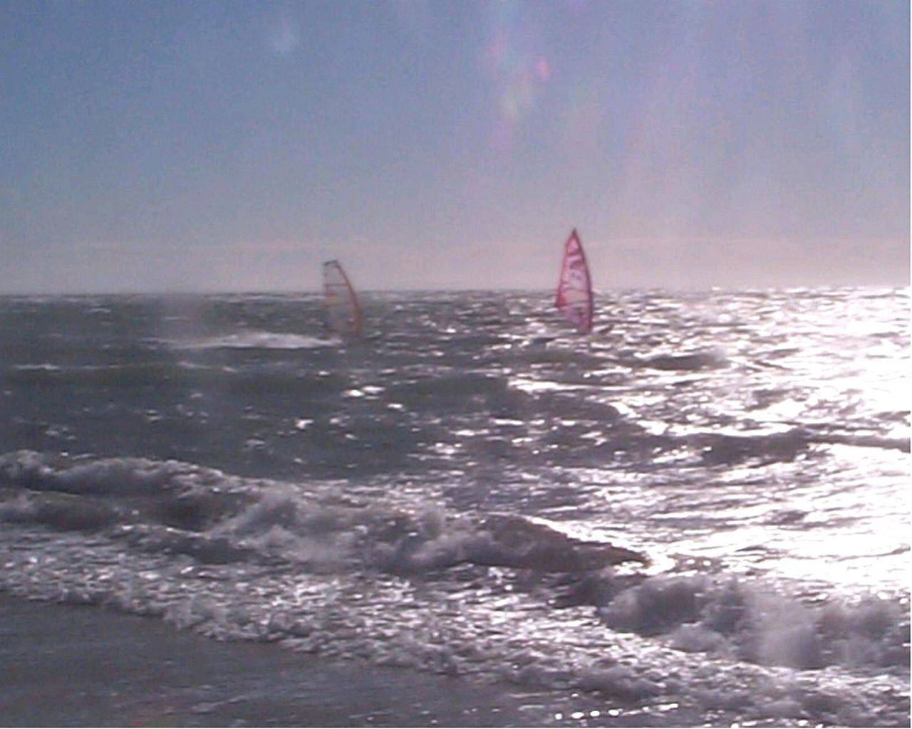 Coming Out Of the Shadows