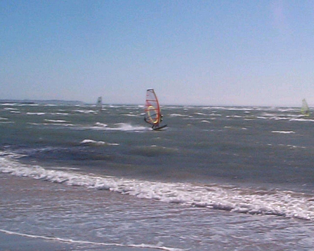 Having A Look What Is On The Beach