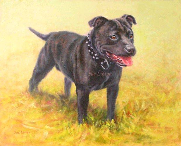 Gruff 40 x 50cms Oil