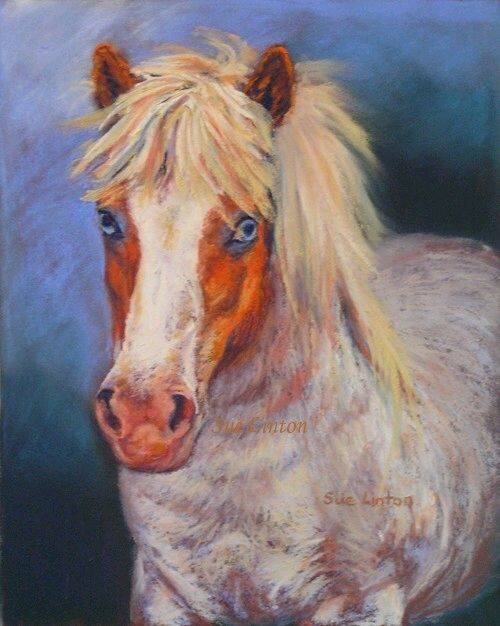 Jack - a demo pastel painting - 25 x 30cms Pastel- For sale on my website