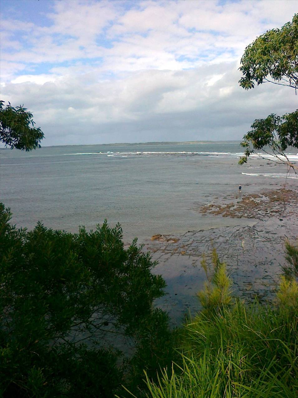 callala bay