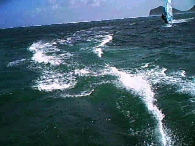 rear view entertainment