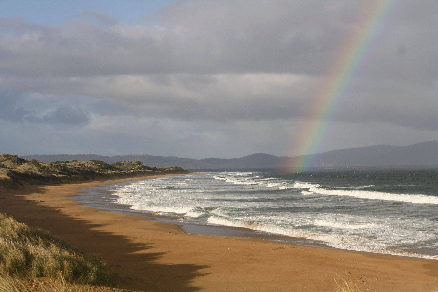 assorted 8.05.2011 949