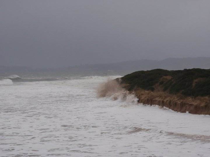 270113 1788165796072 1597390260 31344352 2162434 n