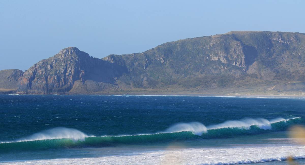 Two weeks in Tasmania, Feb