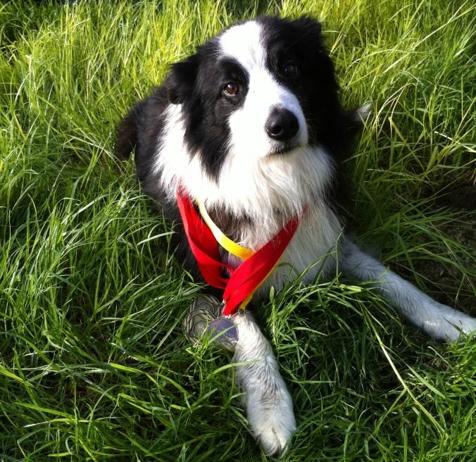 Pit Crew Trophy Photos