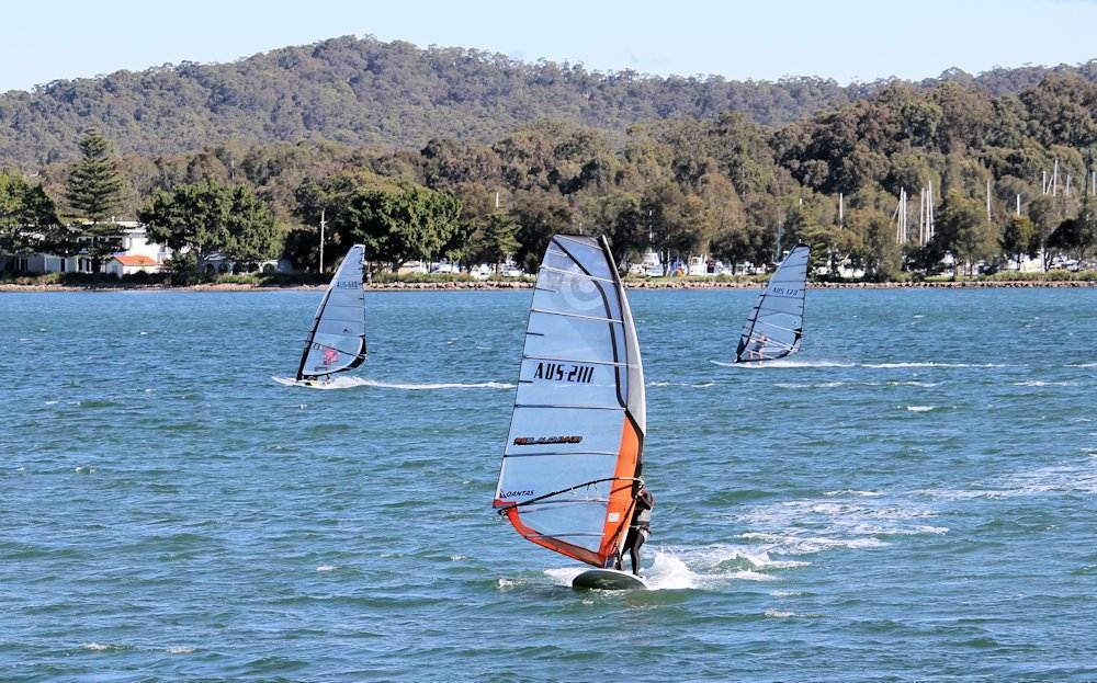 Marmong four seasons - winter round