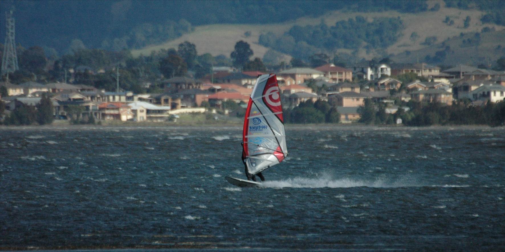 Locals at Lake Illawarra Sat 11th August