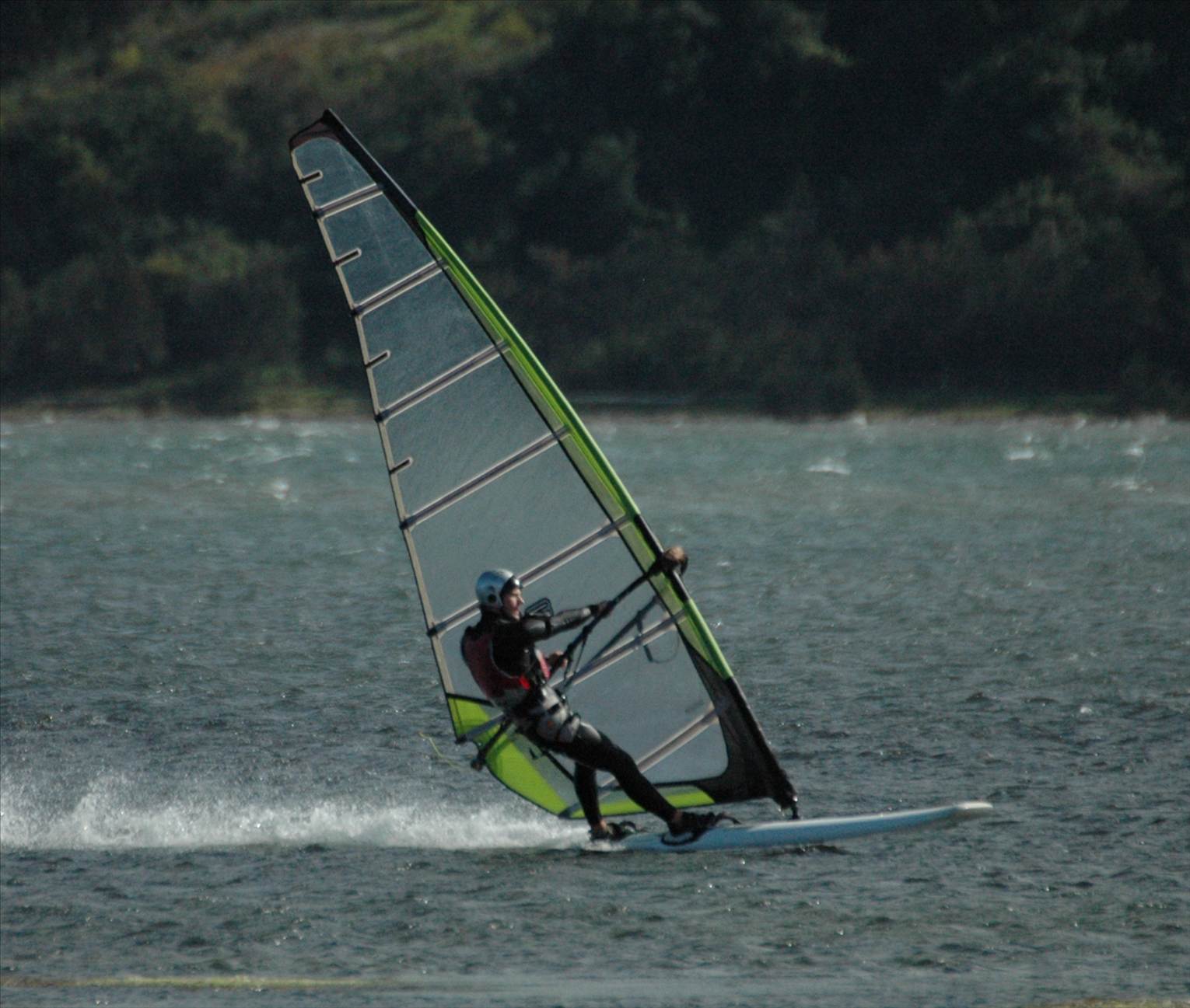 Locals at Lake Illawarra Sat 11th August