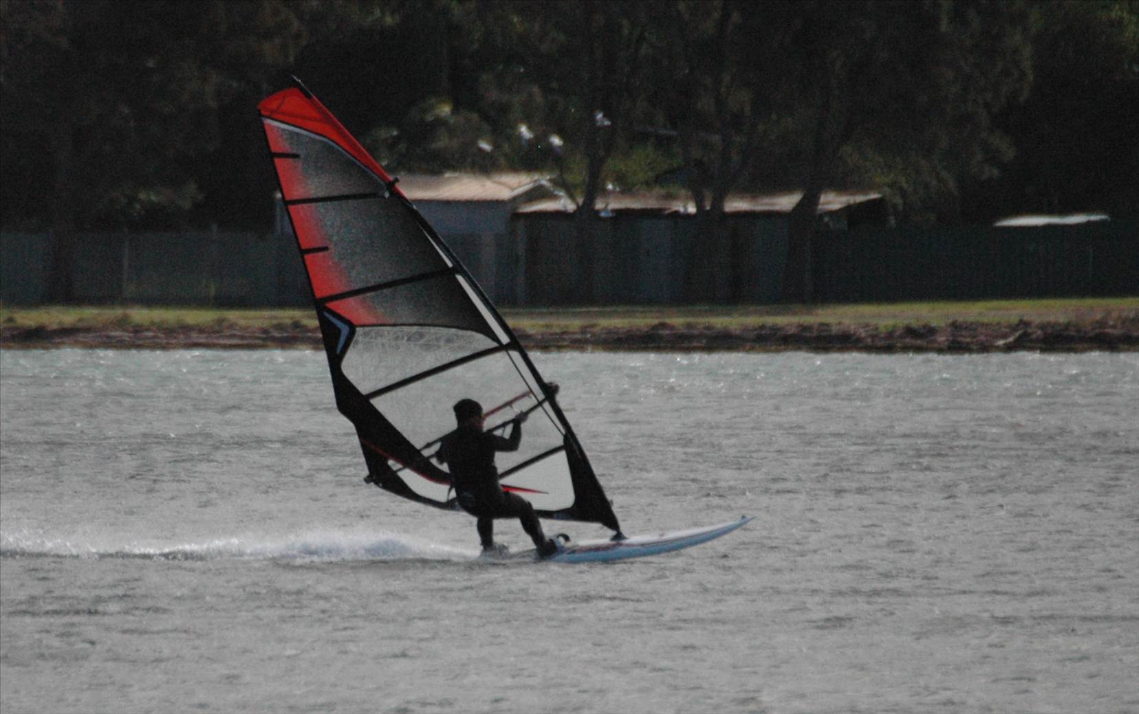 Locals at Lake Illawarra Sat 11th August