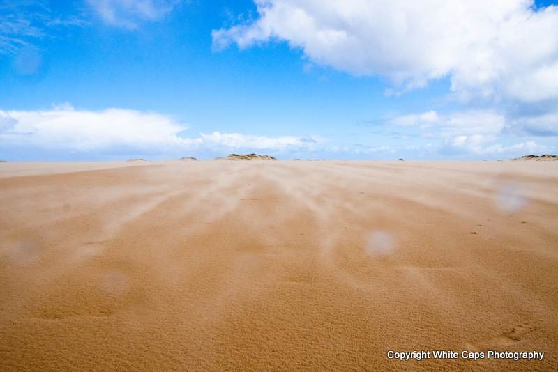 Sandy Point Speed Fortnight