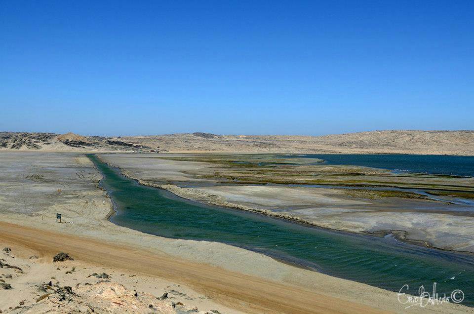 542638 10151136536486482 1591277232 n