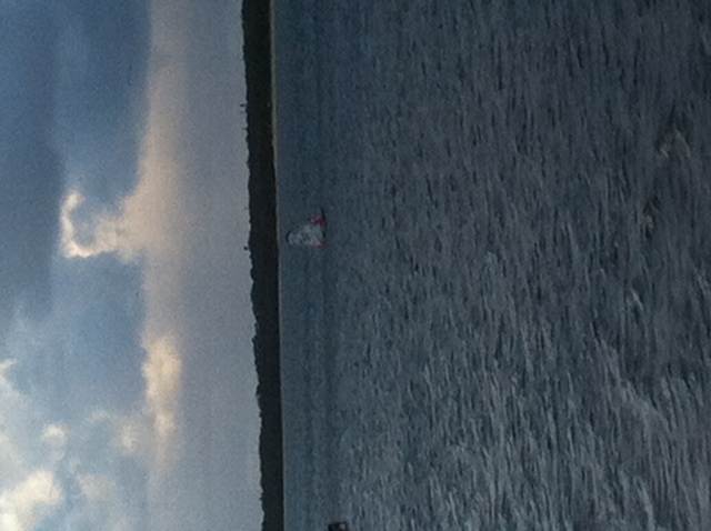 Who needs a calourie counter!