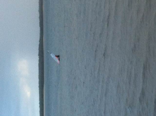 Who needs a calourie counter!