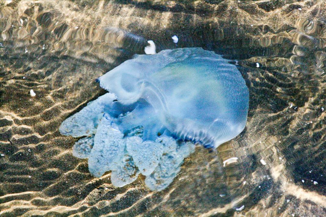 458525 224050814369448 1382439317 o