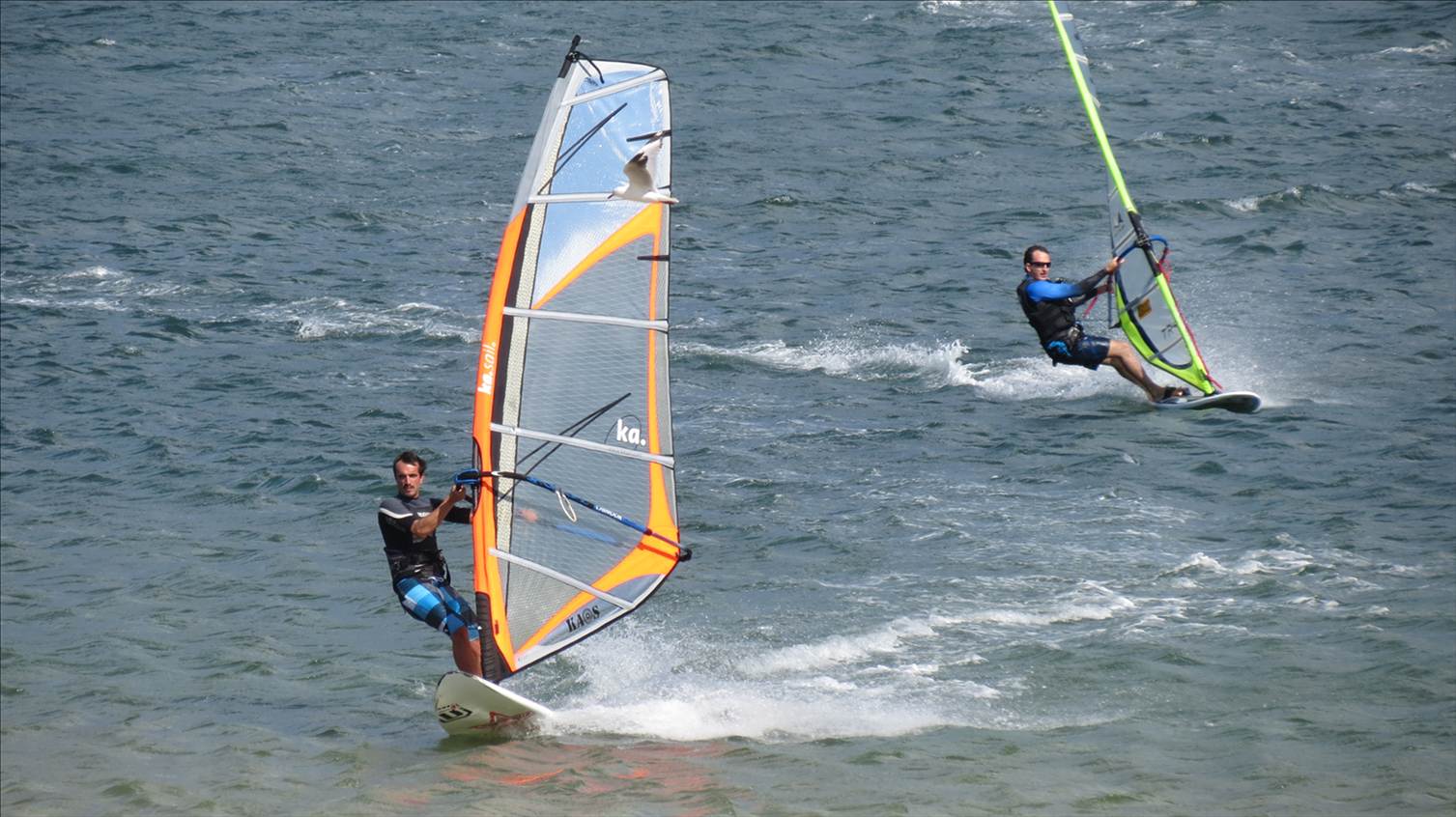 Windsurfing at Kyeemagh 19 November 2012