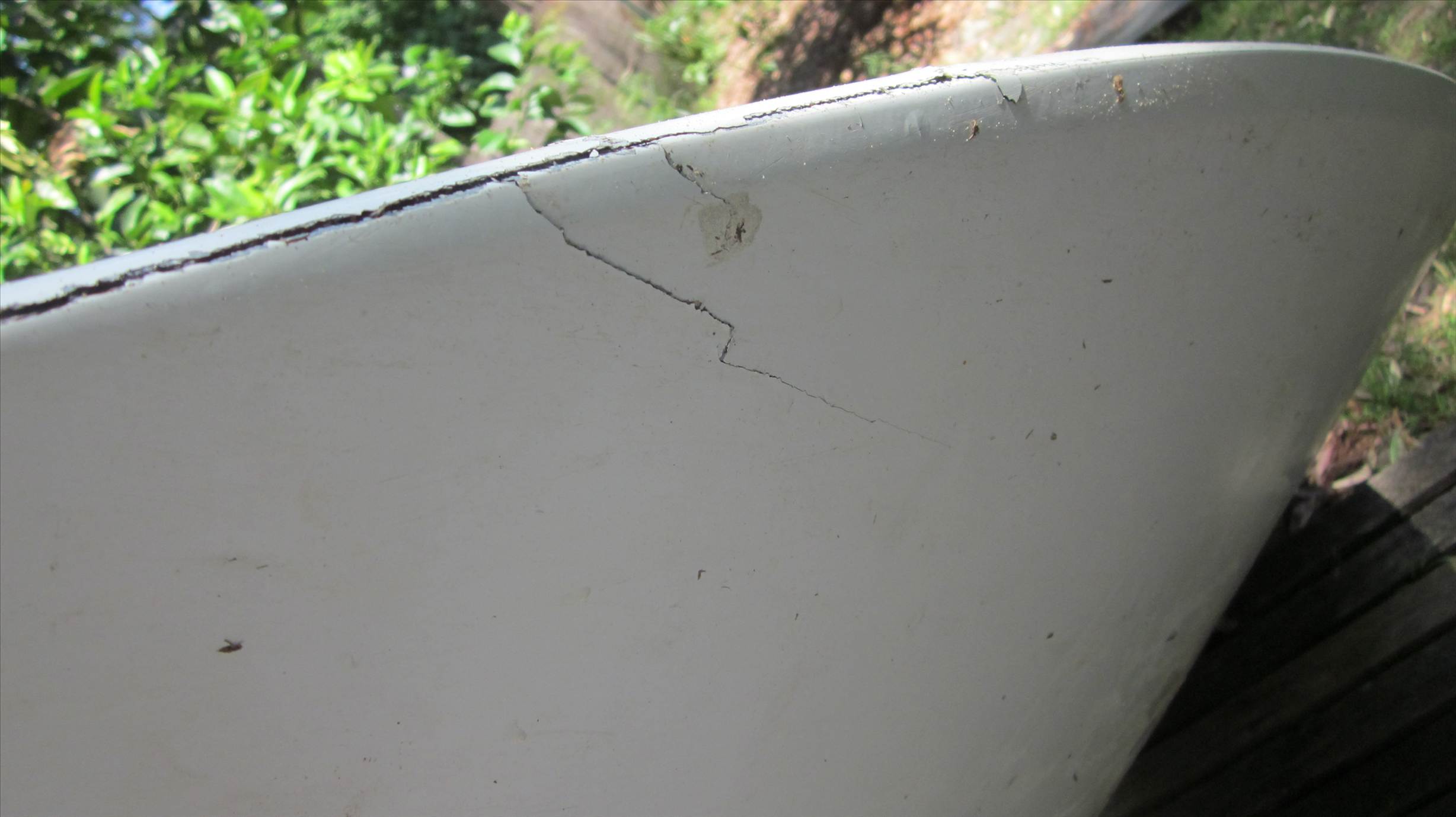 too much fun -top front and bottom