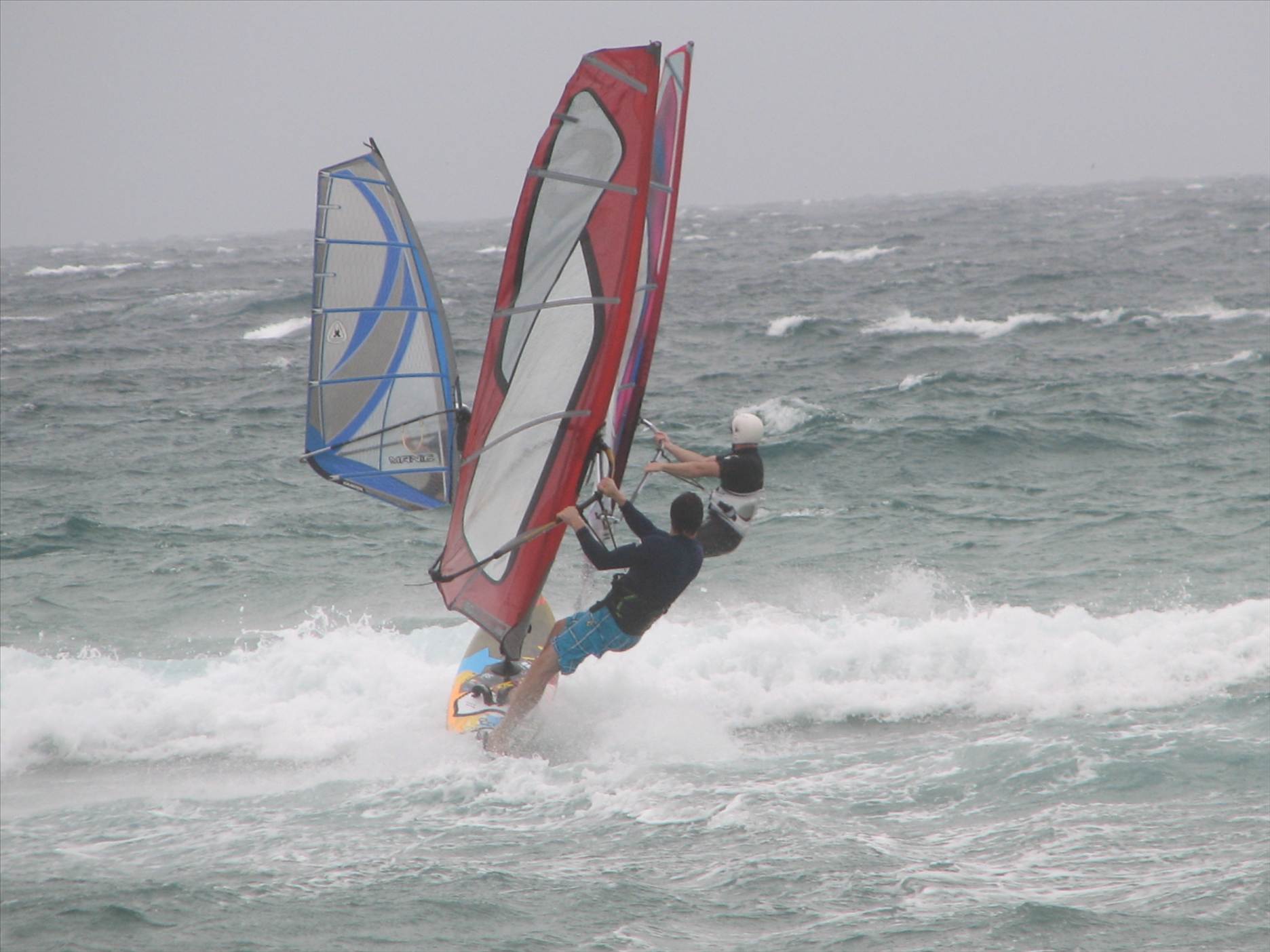 Long Reef 9.12.12 005