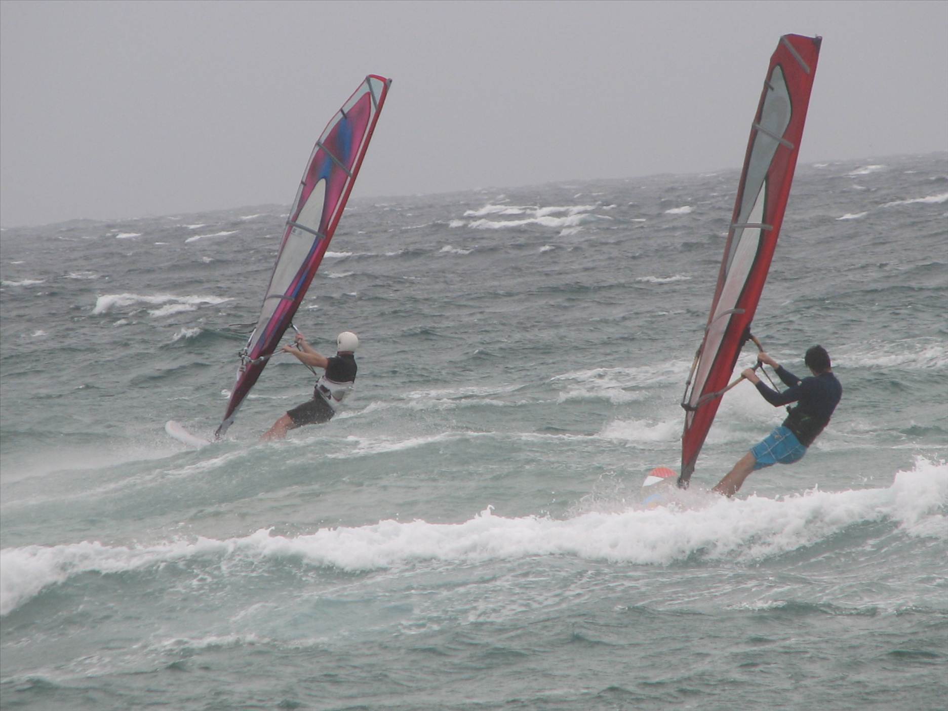 Long Reef 9.12.12 006