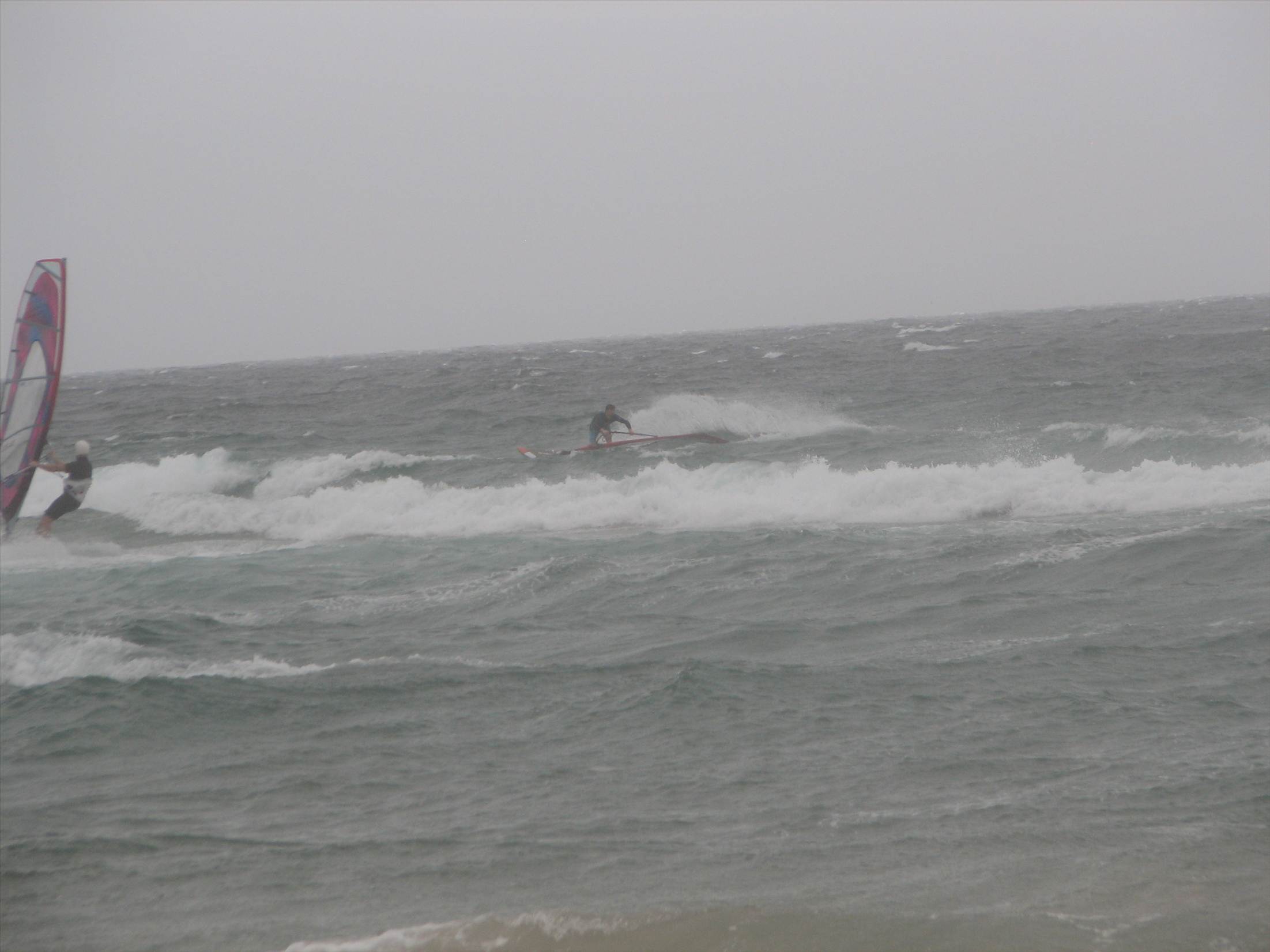 Long Reef 9.12.12 039