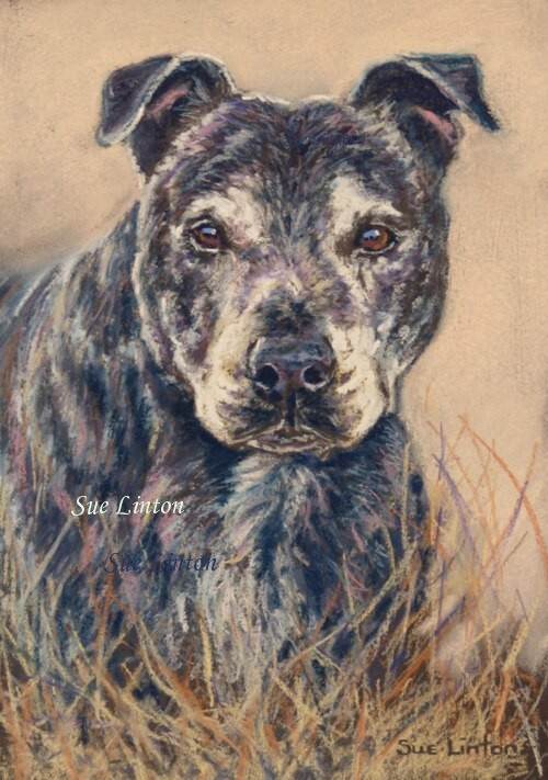 recent paintings Dec 2012