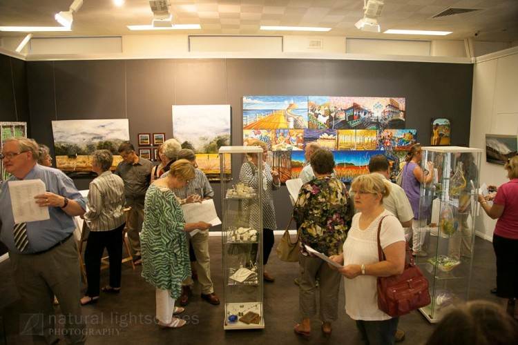 Cessnock regional Gallery exhibition opening Jan 2013