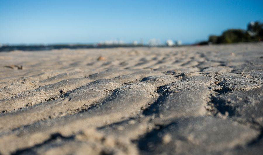 Sony NEX-6 Test     Winter Shearwater