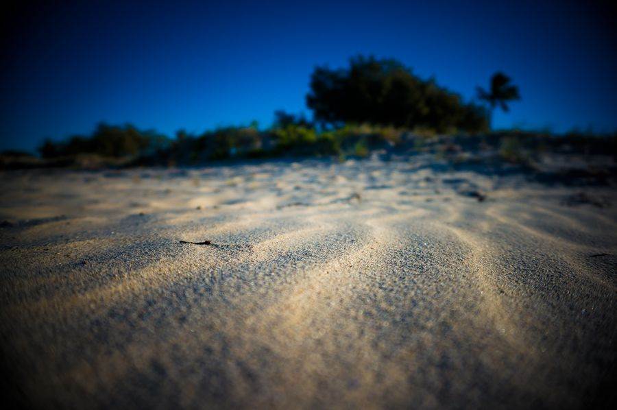 Sony NEX-6 Test     Winter Shearwater