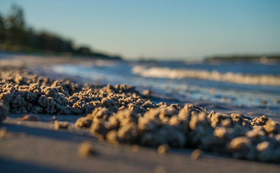 Sony NEX-6 Test     Winter Shearwater