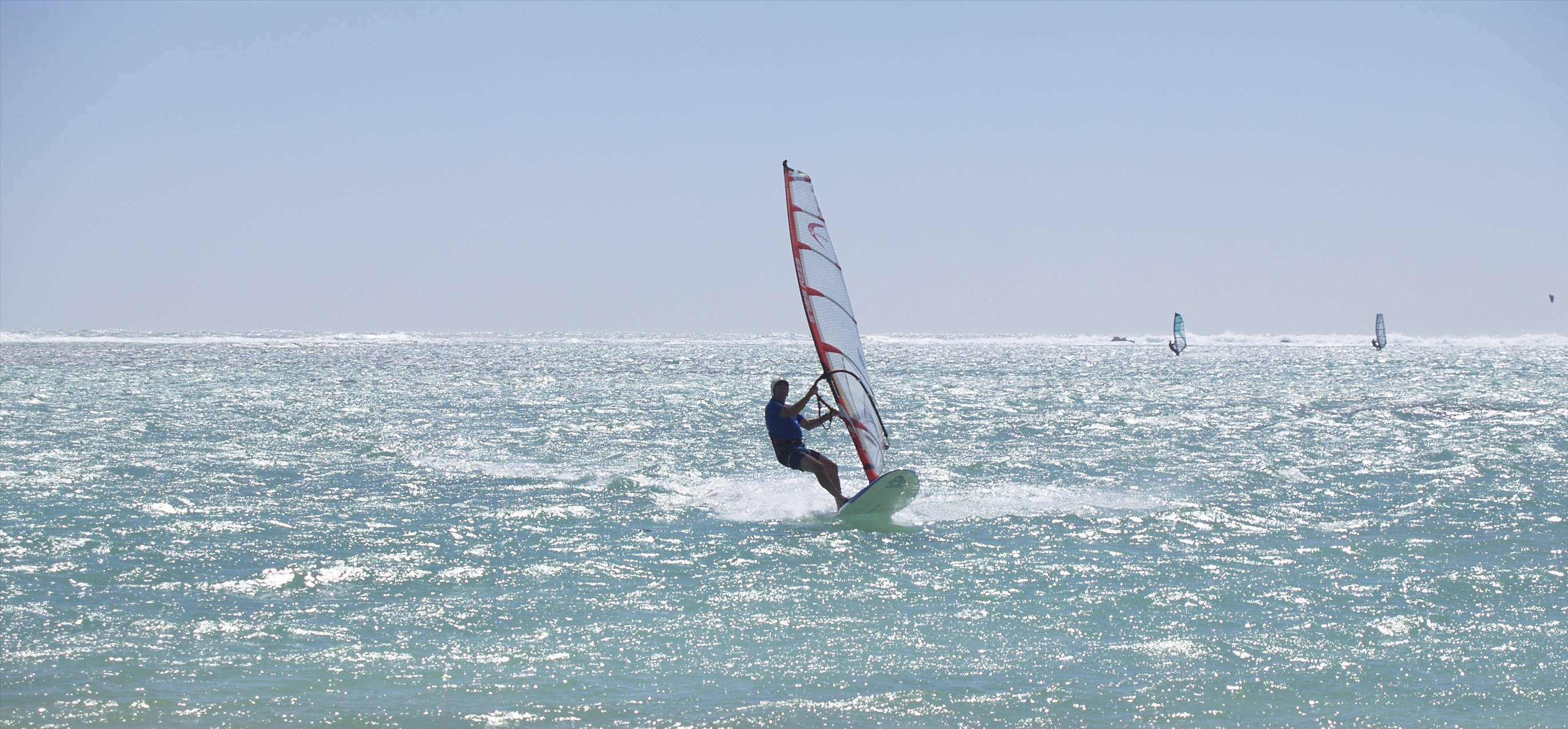 Look at that fat fly!