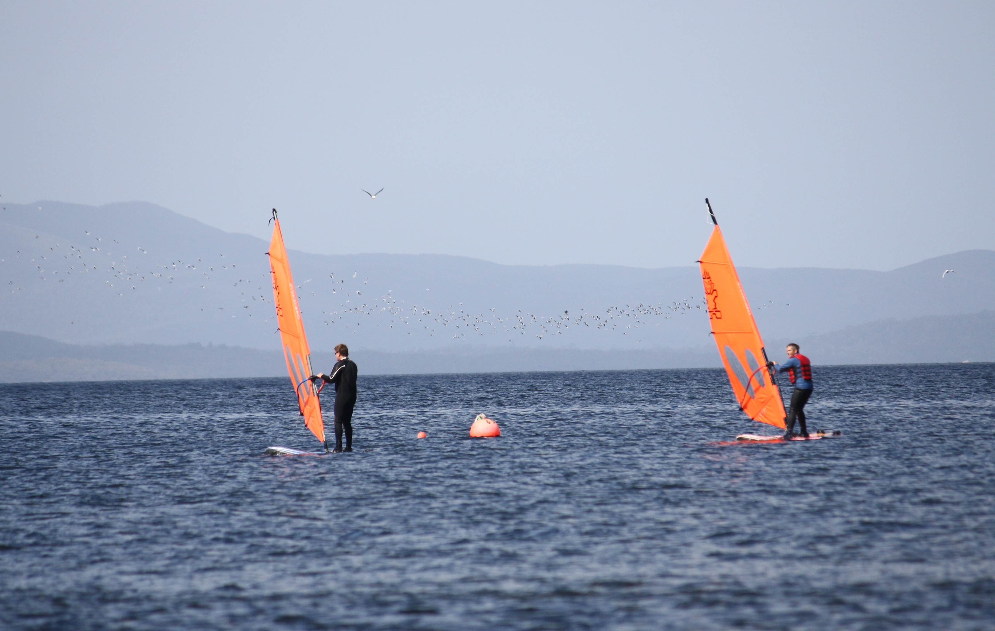 Assorted 01.12.2012 106