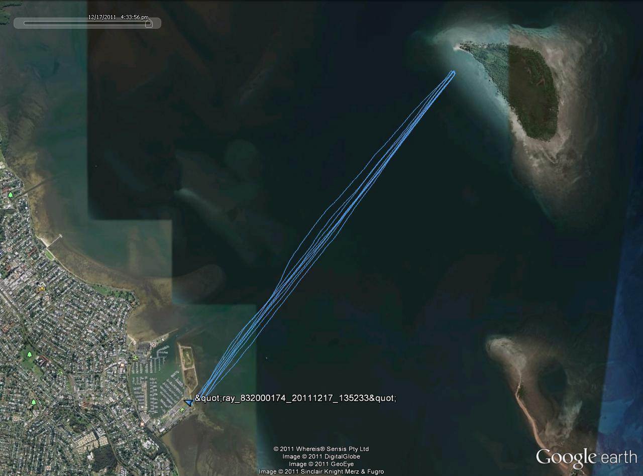 Green Island Marathon