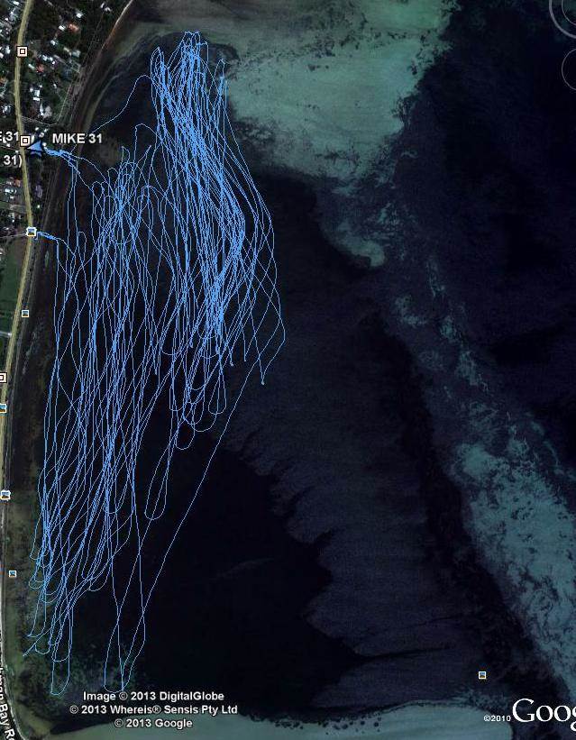 high tide tracks at Lilacs