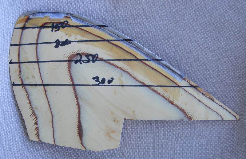 17cm deep, 55deg, 350cm long stainless LE