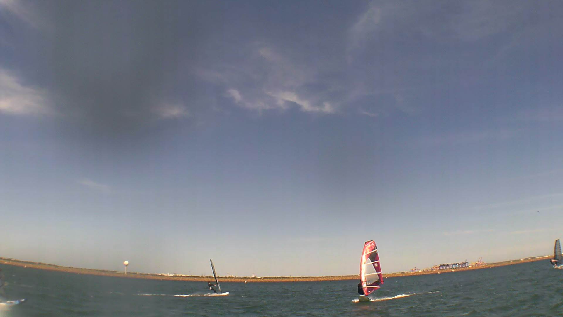 Kyeemagh Photos 8/Dec/2013 - Alfamale's Friends