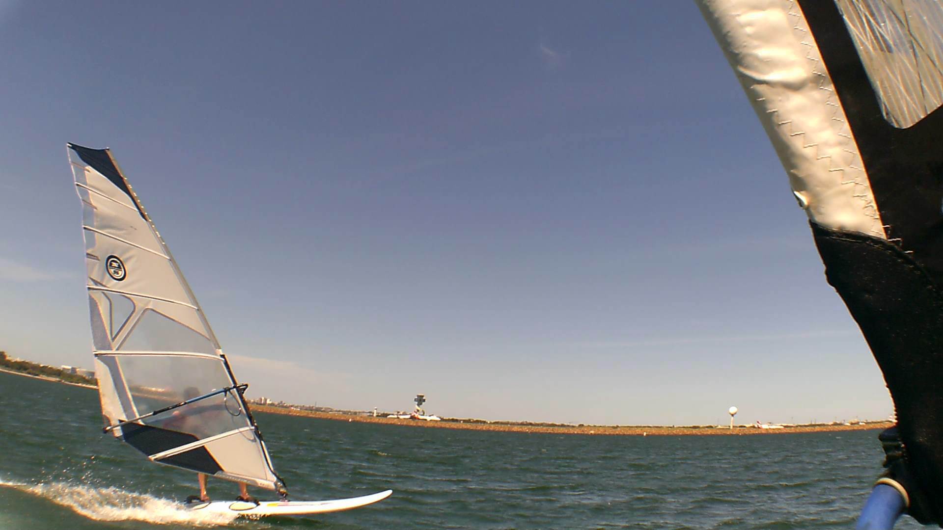 Kyeemagh Photos 8/Dec/2013 - Alfamale's Friends