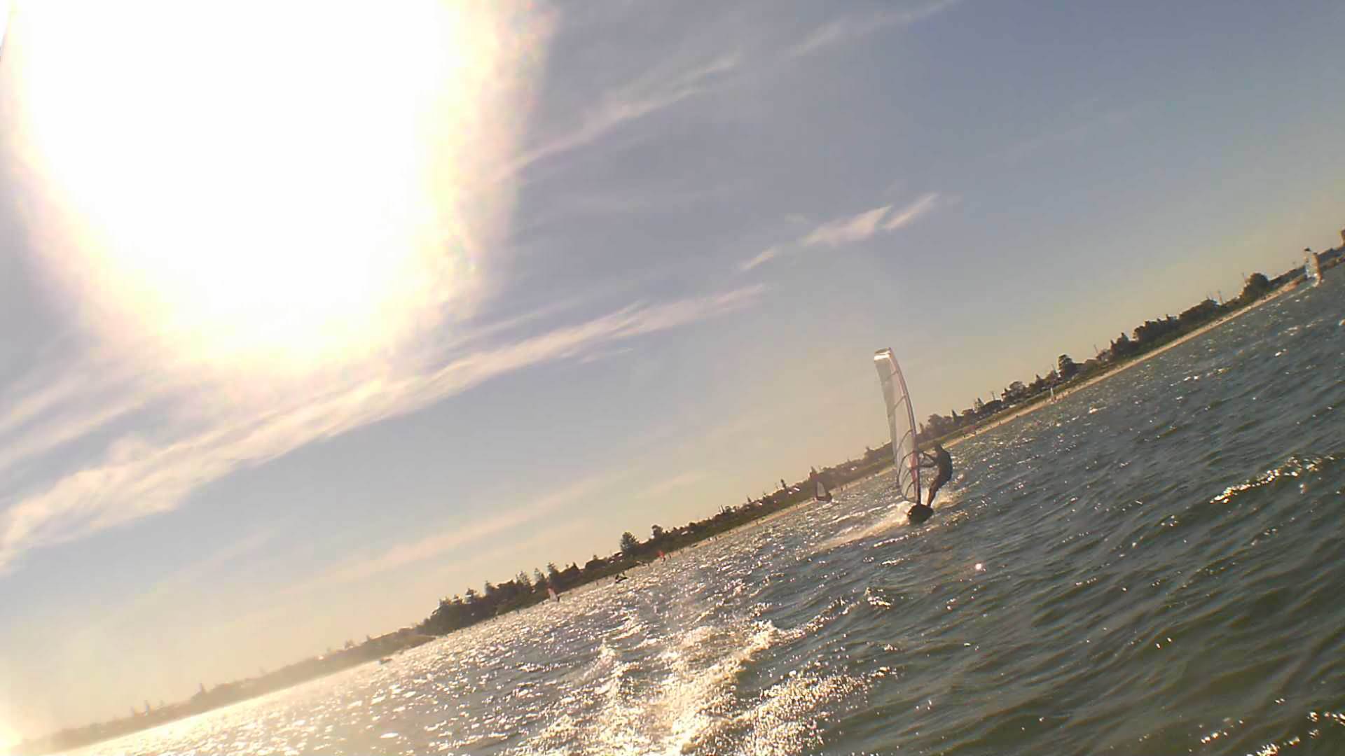 Kyeemagh Photos 8/Dec/2013 - Alfamale's Friends