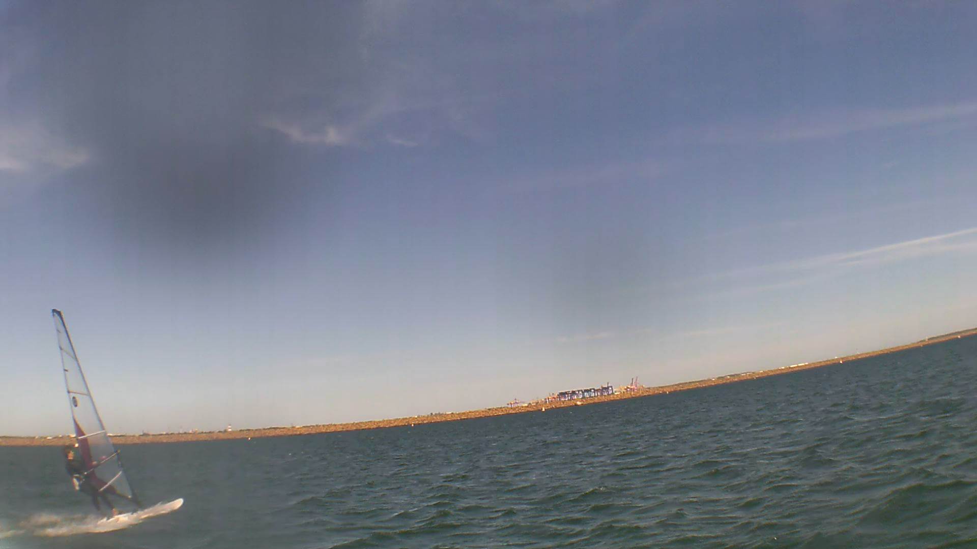 Kyeemagh Photos 8/Dec/2013 - Alfamale's Friends