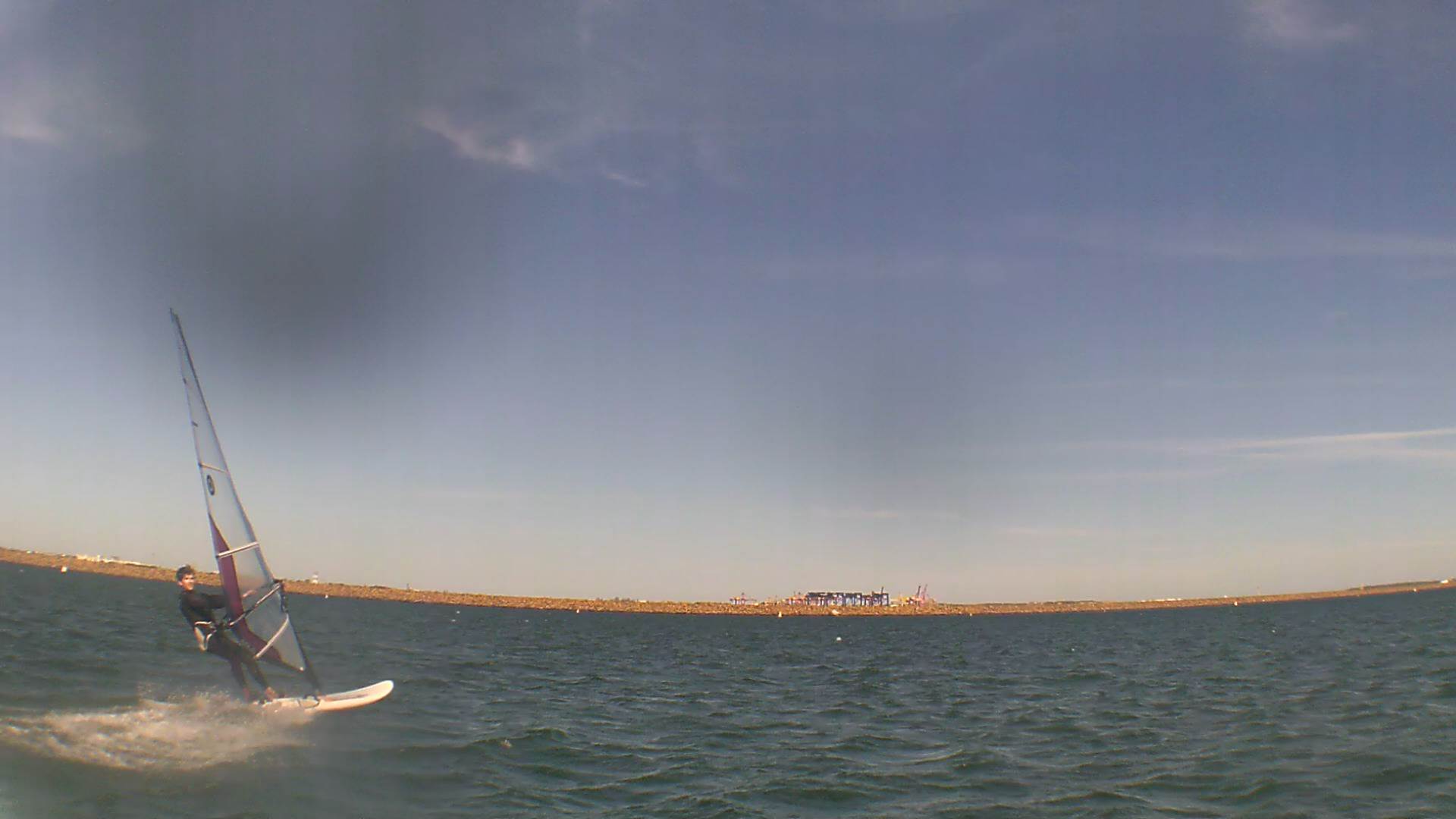 Kyeemagh Photos 8/Dec/2013 - Alfamale's Friends