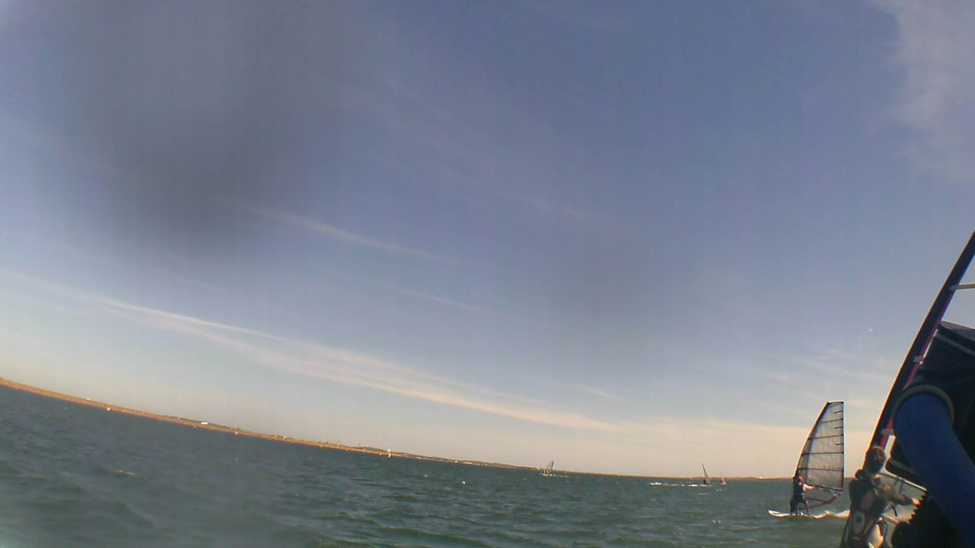 Kyeemagh Photos 8/Dec/2013 - Alfamale's Friends