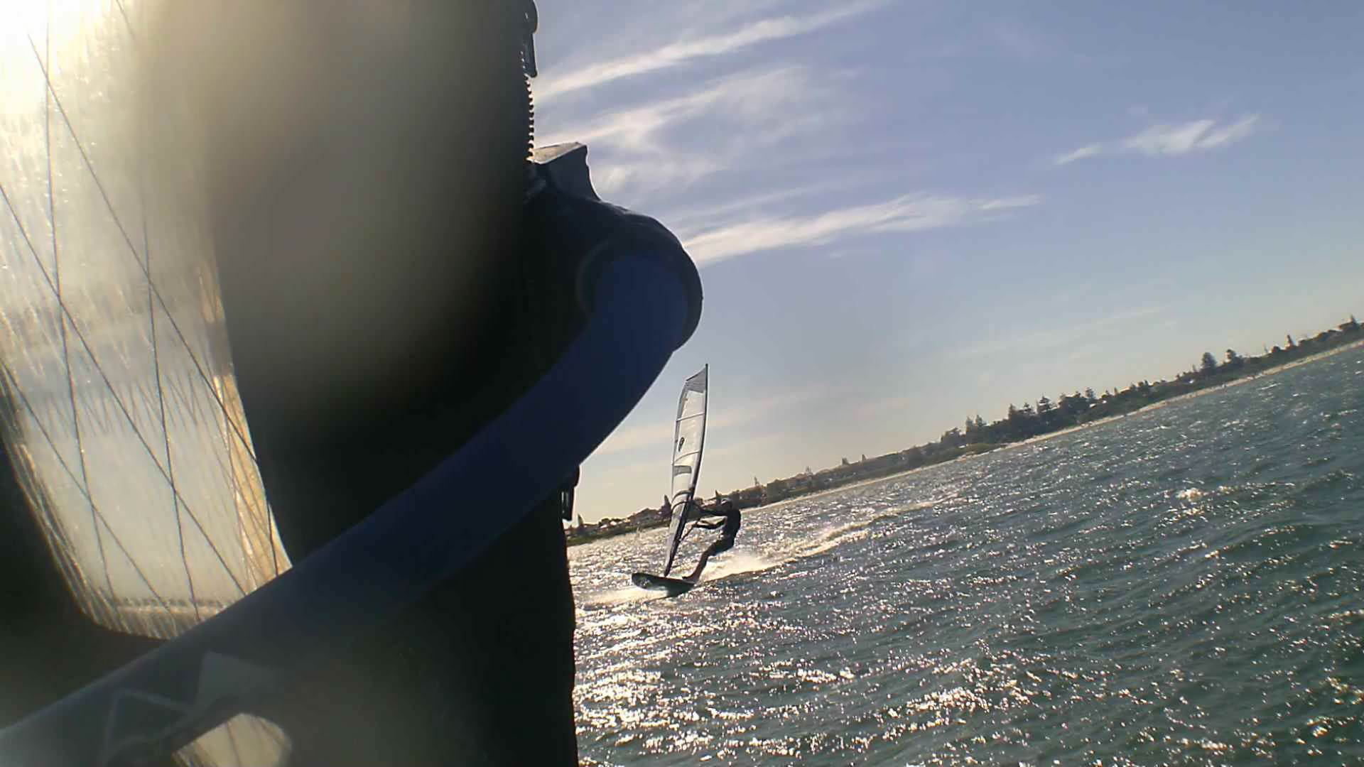 Kyeemagh Photos 8/Dec/2013 - Alfamale's Friends