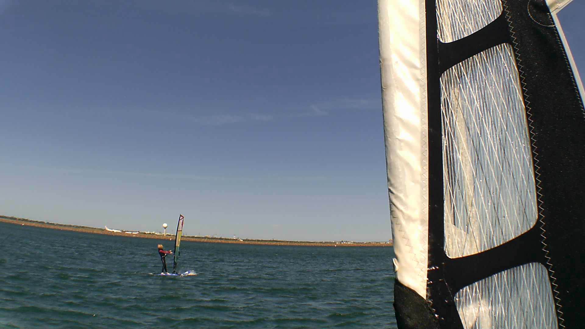 Kyeemagh Photos 8/Dec/2013 - Alfamale's Friends