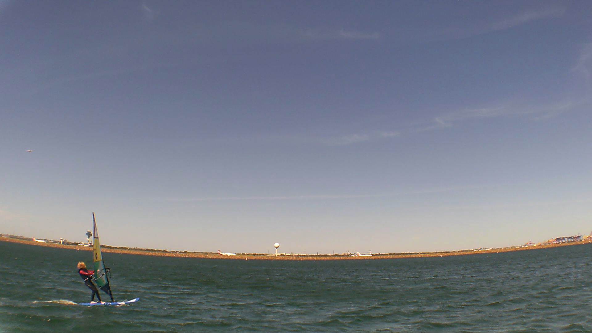 Kyeemagh Photos 8/Dec/2013 - Alfamale's Friends