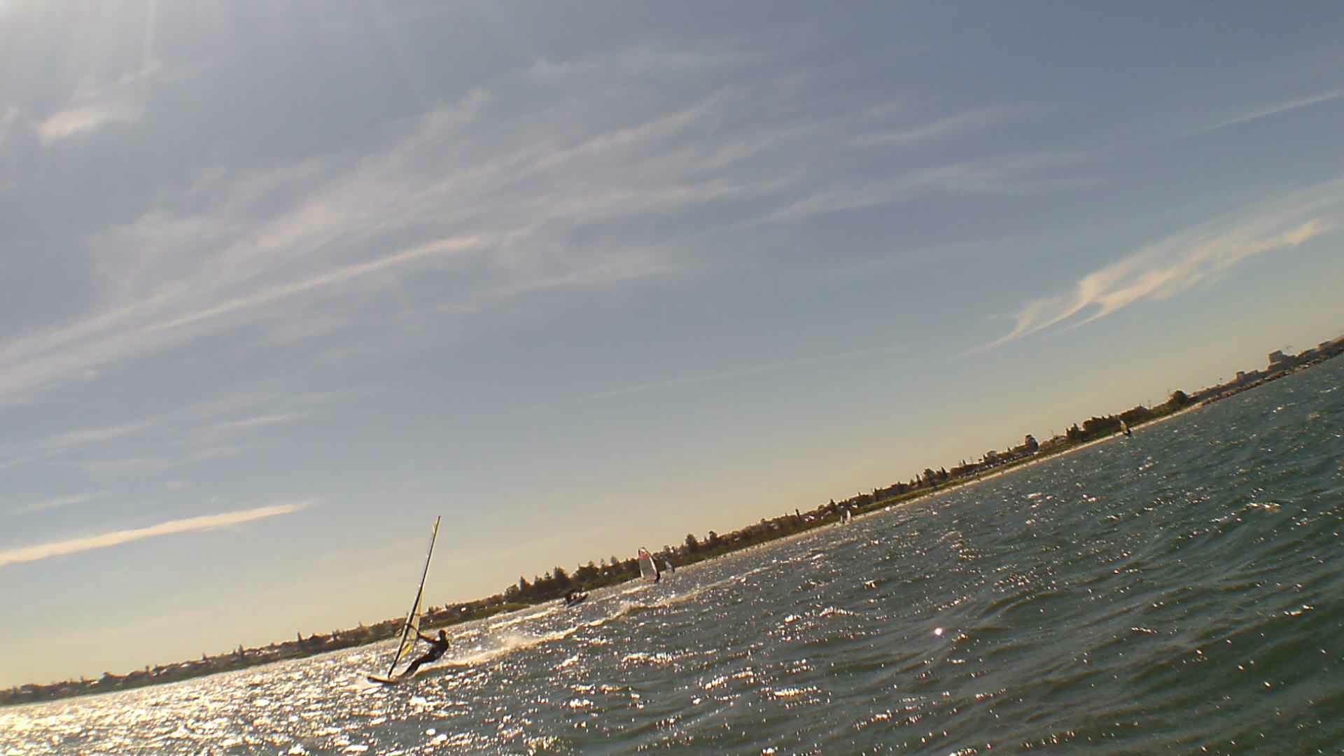 Kyeemagh Photos 8/Dec/2013 - Alfamale's Friends